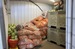 storage room carrots cabbage