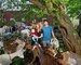 family goats