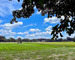 shady corner farm sherborn mass