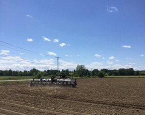 genesee valley bean co planting beans 