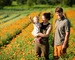 wilson farm in vermont