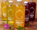 the full queen city kombucha range: maple, turmeric and blueberry