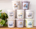 FoMu massachusetts made coconut non dairy ice cream
